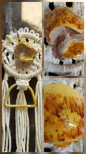 VTG 70’s MCM Boho Mushroom Macrame Towel Holder Wall Hanging Art Cottage Core picture