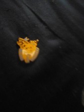  hat or any place pin back, just for today , slogan narcotics anonymous picture