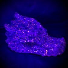 Huge 6lb 4oz Yooperlite Dragon Head UV Reactive picture