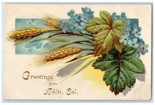 1908 Greetings From Flower Leaves Adin California San Francisco Vintage Postcard picture