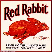 Frostproof Florida Red Rabbit Bunny Orange Citrus Fruit Crate Label Art Print picture