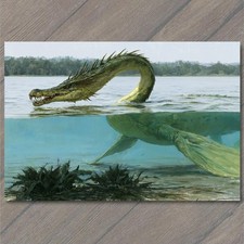 POSTCARD Sea Serpent Lake Monster Dragon Underwater Split View Aquatic Creature picture