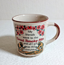 Vitg. Coffee Mug Great Smoky Mountains souvenir, 70s Ceramic Cup, Retro, Travel picture