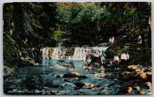 1920s Bronx River Falls Bronx Park w/ People New York City ANTIQUE Postcard 9630 picture