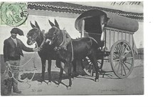 Portugal O Carro Alemtejano picture