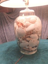 N CAROLINA OUTERBANKS GINGER JAR SEA SHELLS/ QUEEN CONCH /SANDDOLLAR/STARFISH/ picture