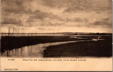 Burt Lake Michigan 1909 Postcard Crooked River Landscape Alton Cook Publ. picture