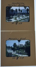 2 Kodachrome Slides Monterrey Mexico Morelos Blvd Palms Oct 1959 picture