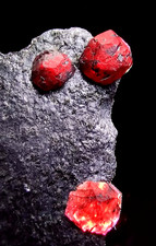 Trio of Fire RED Almandine Garnet 'Embers' in Graphite Schist-Red Embers Mine MA picture