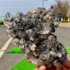 1.39LB Natural Symbiosis of Tourmaline Crystal quartz cluster /minerals picture