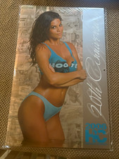 Hooters 2006 Original Advertising Calendar - Restaurants & Fast Food Multicolor picture
