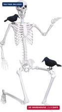 Wocst 6Ft Life Size Skeleton Posable Skeleton with Movable Joints Halloween Full picture