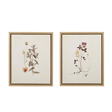 Madison Park French Herbarium Wall Art - Linen Canvas 17.84