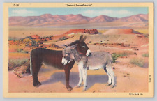 Postcard Desert Sweethearts donkeys picture