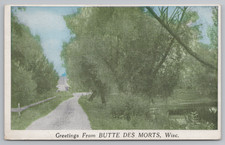 1924 Greetings Butte des Morts, WI Scenic Road & Trees Vintage Postcard picture
