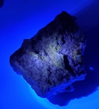 Uv Reactive Purple Flourite On Aura Calcite 78g picture