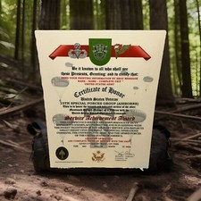 U.S. ARMY - 10TH SPECIAL FORCES GROUP (ABN) VETERAN SERVICE ACHIEVEMENT AWARD picture