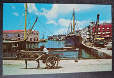 vtg postcard Barbados West Indies Donkey cart Bridgetown Careenage Old Docks picture