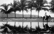 RPPC Acapulco Mexico Los Hornos Beach Palm Trees Burro J.J. Pintos 1940s picture