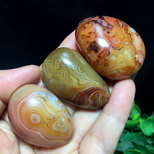 115g 3PCS Madagascar Polished Crazy Lace SILK Banded Agate reiki healing 750 picture