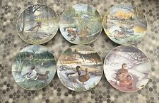 duck dinner plates picture