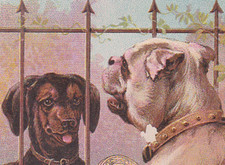 1880's J. & P. COATS THREAD TRADE CARD, TWO DOGS WITH A FENCE BETWEEN THEM  K931 picture