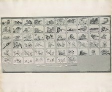 Disney:Breezy Bear/Donald Duck-Original Oversized Stat Model Sheet-1955 picture