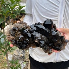 6.1lb Natural smoky black Quartz Crystal Cluster Rough Specimen Healing Stone picture