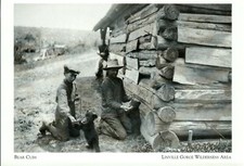 *North Carolina Postcard-*Bear Cubs held by 2 Men, 1908- *Linville Gorge-  {G79} picture