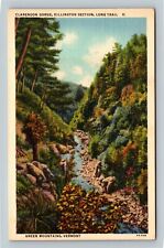 Green Mountains VT Clarendon Gorge Killington Section Vermont Vintage Postcard picture