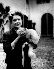 Italian writer and translator Anna Banti holding her cat 1960s Old Photo picture