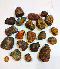 🏞️ Lake Superior Lot Minnesota Red Jasper Unakite Drift Stones Tumbling Rough4 picture