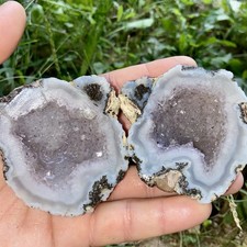 Choyas Mexican Coconut Geode Lapidary Rough Pair 8 Oz picture
