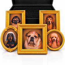 5PCS Funny Dog Fridge Magnet, Cute Vintage Mini Framed Dog Art Magnet, Funny.. picture