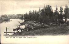 Grayling MI Au Sable River The Rotograph Co. c1900s-10s Vintage Postcard bhn picture