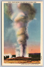 Giant Geyser Yellowstone National Park Vintage Postcard c1959 picture