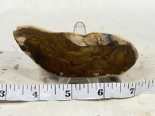 Beautiful Royal Sahara Jasper Slab, Lot#511 picture