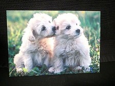Unused Love Card-Two Dogs #2295 picture