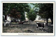 c1920's Scene Group Of Cows Farm Trees Brattleboro Vermont VT Unposted Postcard picture