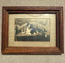 Antique 1910s Framed Dog Photograph Original Studio Portrait Wood Frame picture
