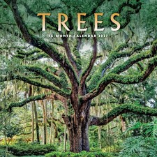 Carousel Calendars, Trees 2027 Wall Calendar picture