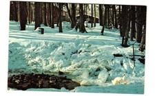 Al Johnson's Swedish restaurant sister Bay Door County Wisconsin VTG postcard picture