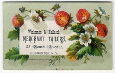 Rochester NY MERCHANT TAILORS 1880's Victorian Trade Card WICHMANN & KALUSCH picture