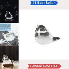 Storm Glass Weather Forecaster Water Drop Predictor Borosilicate Glass Bird picture