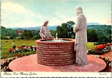 Strawberry Plains Tennessee Holston View Gardens Continental Postcard C241 picture