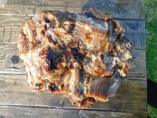 Giant Agate Limb Cast 62 lbs Central WA Vintage Excellent Quality Translucent picture