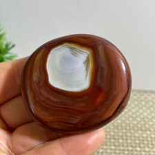 51g Crazy lace silk striped agate Polish Madagascar picture