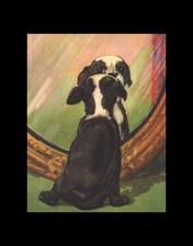 Boston Terrier - CUSTOM MATTED - Dog Art Print - D. Thorne - Small - 5x7 picture