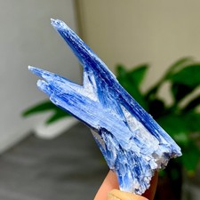 19G Rare Natural beautiful Blue KYANITE with Quartz Crystal Specimen Rough picture