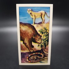 1963 Barratt The Wild West #19 Animals Of The West Tobacco Cigarette Trade Card picture